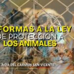 REFORMAS A LA LEY DE PROTECCIÓN A LOS ANIMALES