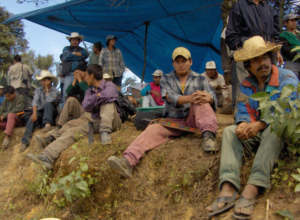 3-formas-de-ayudar-a-nuestros-campesinos-peri-dico-el-campesino-la