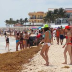 Incrementa llegada de turistas a México en enero-noviembre de 2024