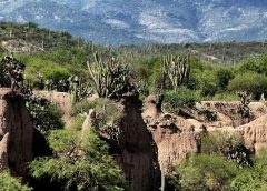 Valle de Tehuacán