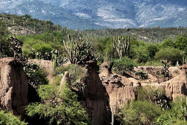 Valle de Tehuacán