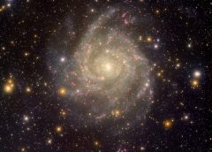 galaxia IC 342
