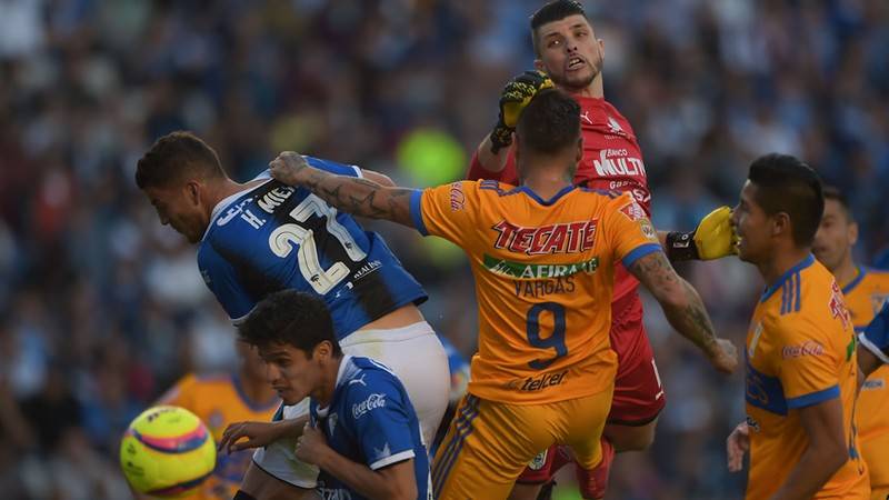 Gallos y Tigres dividen puntos en la liga MX