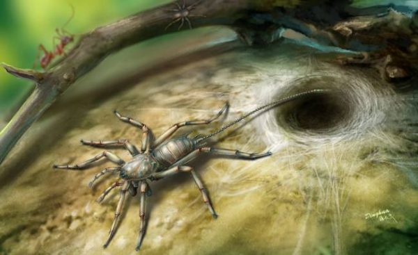 insecto prehistórico mitad araña, mitad escorpión