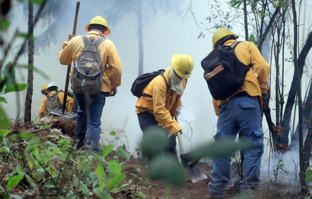 incendios forestales