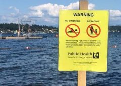 Contaminación aguas residuales en Seattle