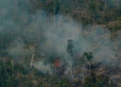 incendios en Amazonia