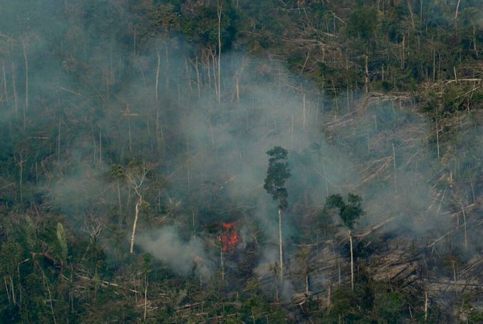 incendios en Amazonia