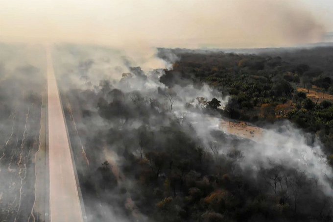 incendios en la Amazonia