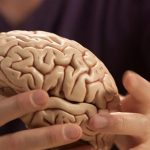 Una semana para entender y reflexionar sobre el cerebro