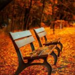 Francia vive el otoño más cálido de su historia
