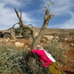 Israel confiscó miles de hectáreas de tierra palestina en 2023