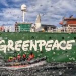 Celebran Día Mundial de los Océanos en Greenpeace España