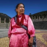 Secretaría de Bienestar refrenda su compromiso para erradicar la violencia de género en los pueblos originarios