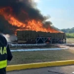 Semar y FGR incineran 6 toneladas de estupefacientes en Veracruz