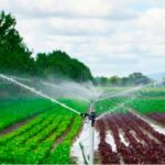 Granjas Carroll de México y el uso del agua en su producción