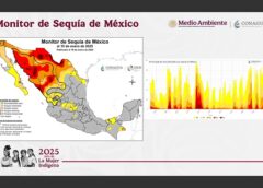 Inicia el año con leve recuperación en superficie afectada por la sequía