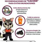 Emite Gobierno de la Ciudad de Puebla recomendaciones por lluvias en zonas bajas