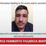 Muere un criminal tras agresión a fuerzas del orden en México