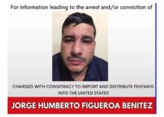 Muere un criminal tras agresión a fuerzas del orden en México